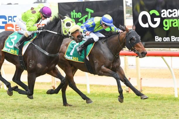 Phair Plan Swan Hill Carnival Drought Breaker winner